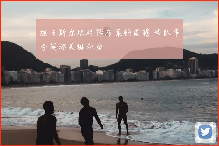 纽卡斯尔联对阵布莱顿前瞻 两队争夺英超关键积分